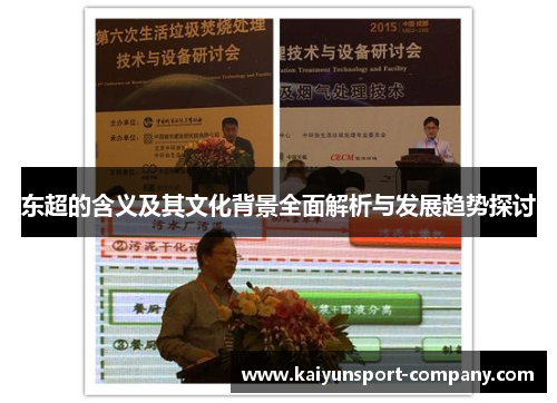 东超的含义及其文化背景全面解析与发展趋势探讨