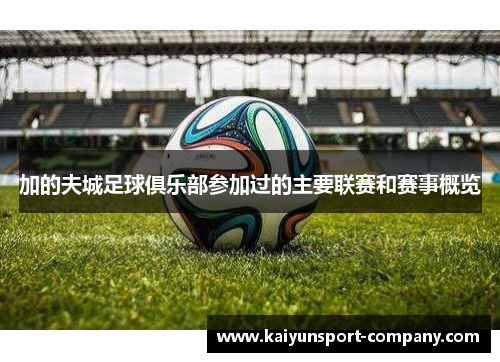 加的夫城足球俱乐部参加过的主要联赛和赛事概览 加的夫城足球俱乐部参加过的主要联赛和赛事概览