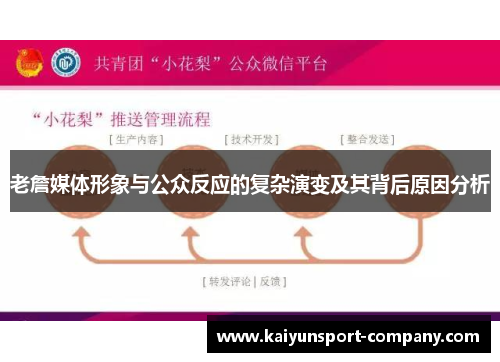 老詹媒体形象与公众反应的复杂演变及其背后原因分析