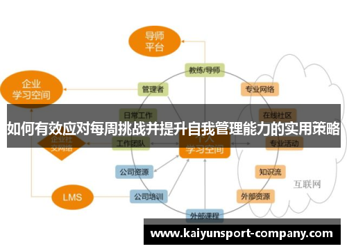 如何有效应对每周挑战并提升自我管理能力的实用策略