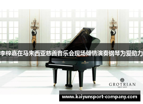 李梓嘉在马来西亚慈善音乐会现场倾情演奏钢琴为爱助力